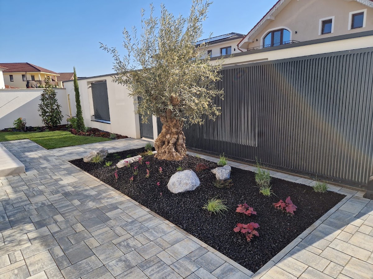 Photo de SeSe Gardens - Amenajari spatii verzi