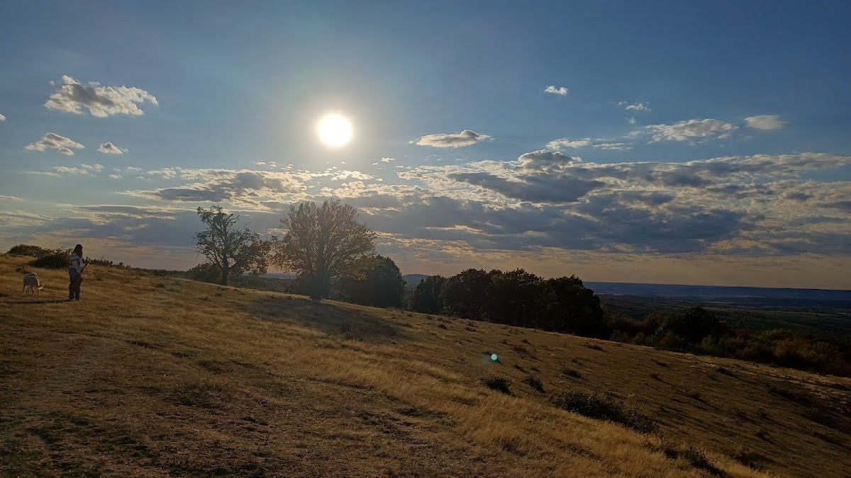 Foto von La Stejar