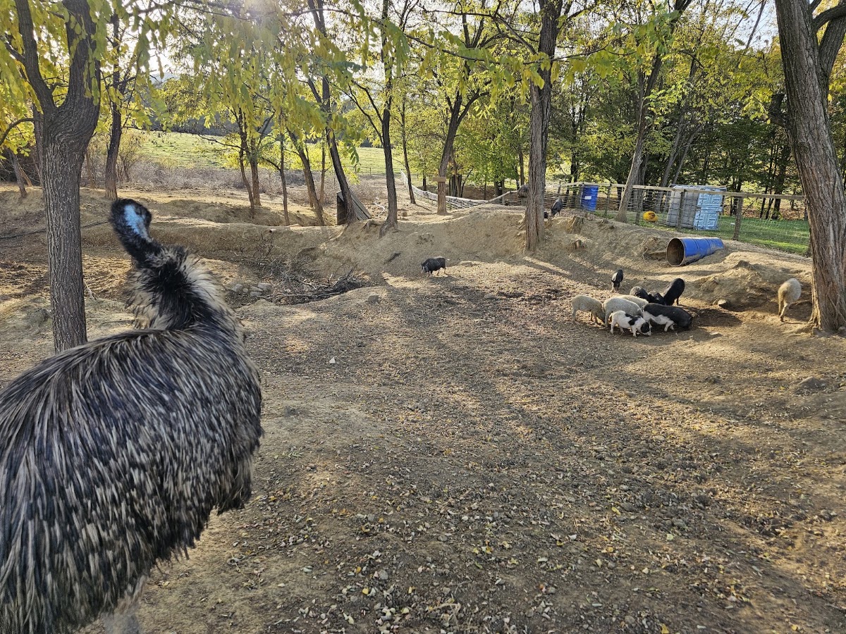 Photo of Zoo Park Plaiul Cucului