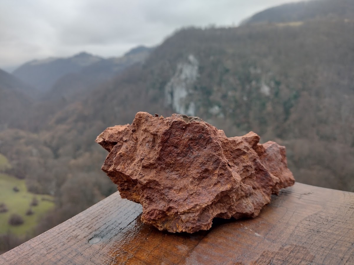 Fotografie de Belvedere Farcu