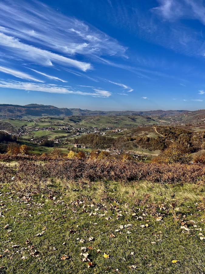 Fotografie de Belvedere Farcu