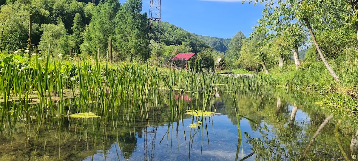 Photo of Pensiunea Alunul