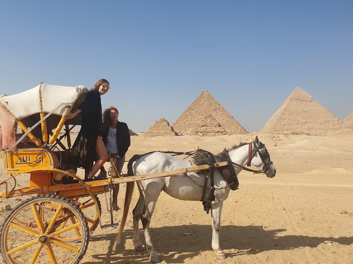 Photo of Egyptrip Tour Holydays