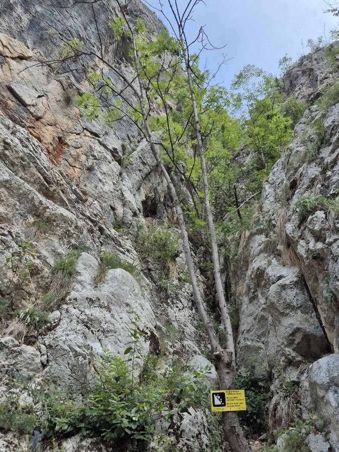 Foto di Via ferrata din Peretele Zanelor (Mocănița)