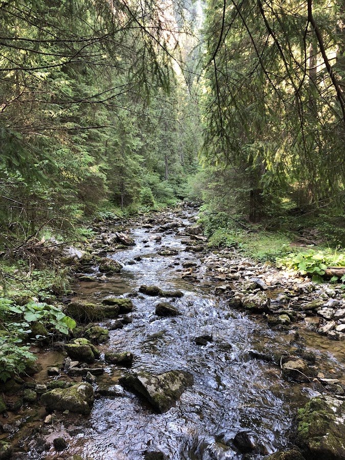 Foto von Poiana Ponor