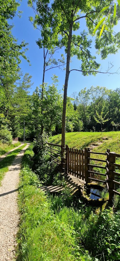 Photo of Izvor Natural