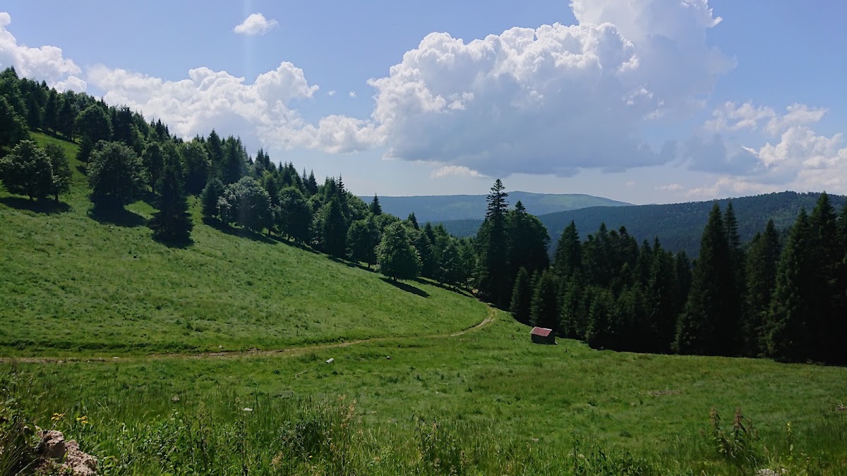 Foto di Molhașurile de la Izbuce