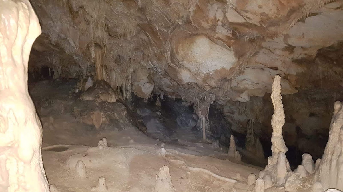 Foto di Peștera Ghețarul de la Vârtop