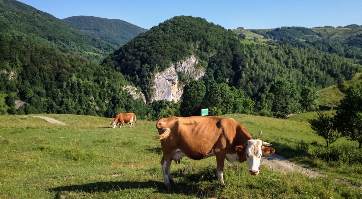 Foto von Transylvania Cycling