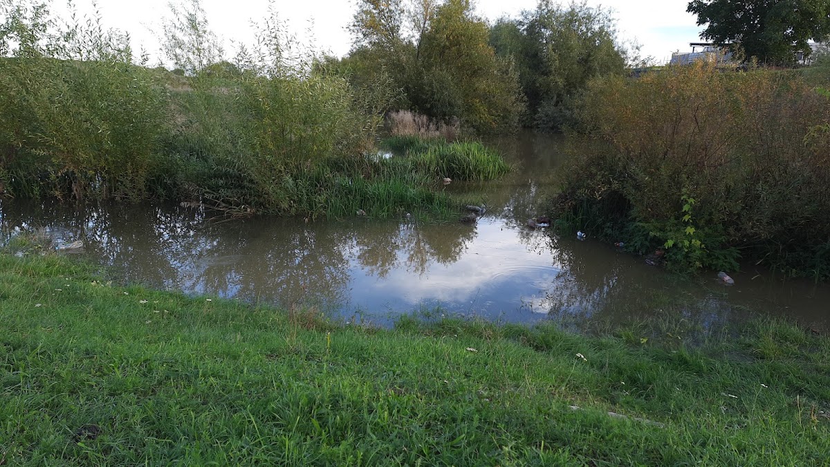 Photo of Barcau-Inot