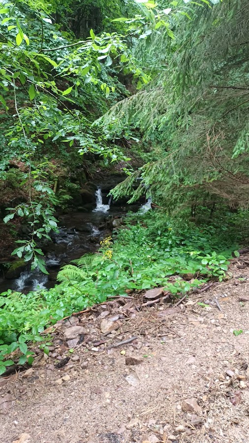 Fotografie de Cascada Vârciorog