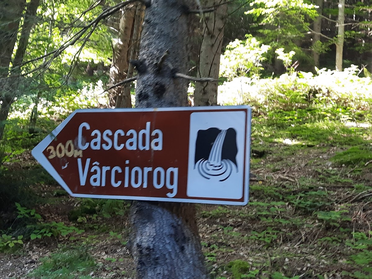 Fotografie de Cascada Vârciorog