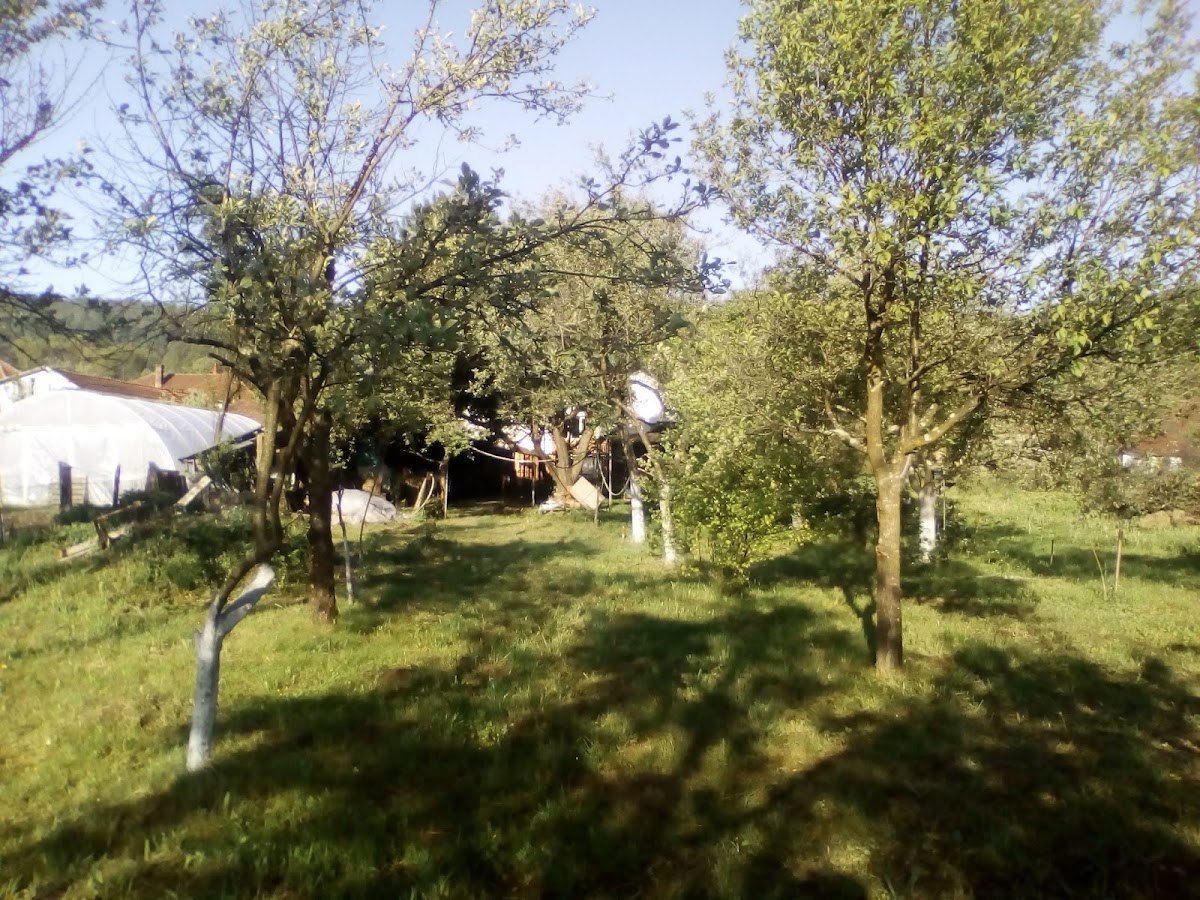 Photo of Centrul Național de Informare și Promovare Turistică