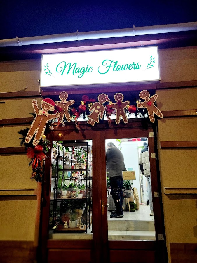 Foto von Magische Blumen