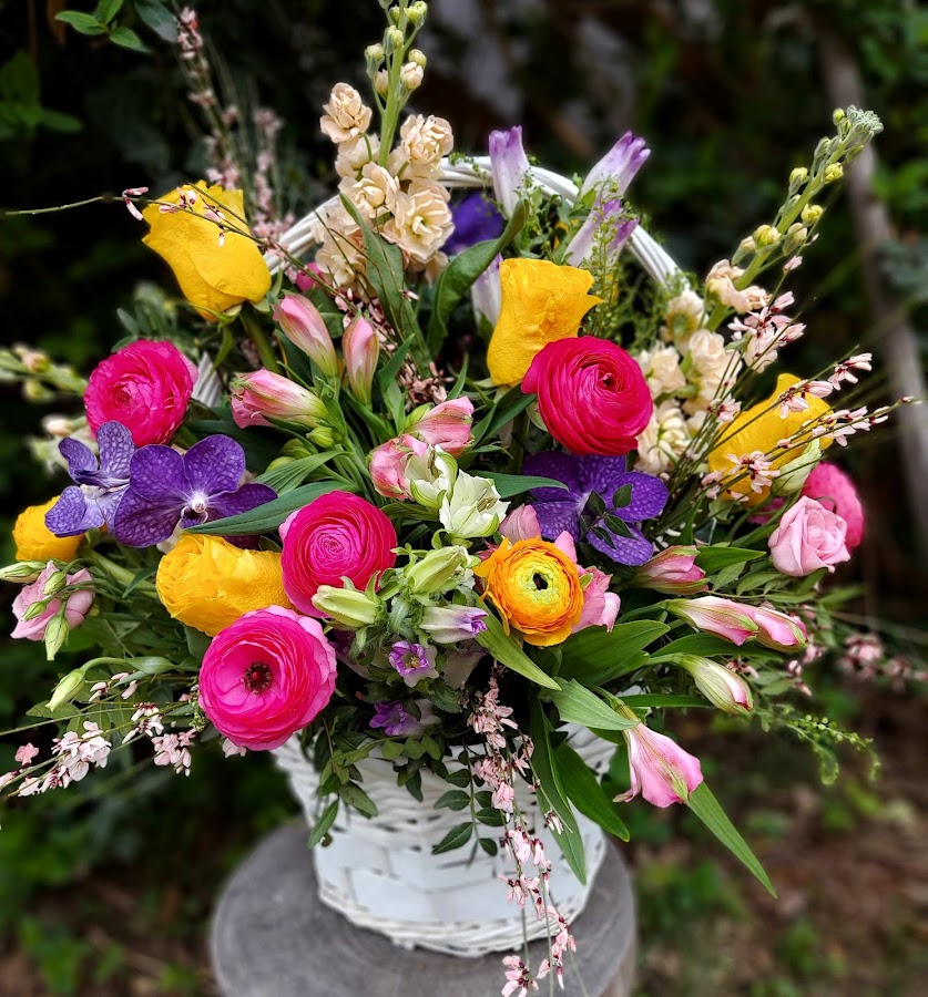 Foto von Magic Flowers