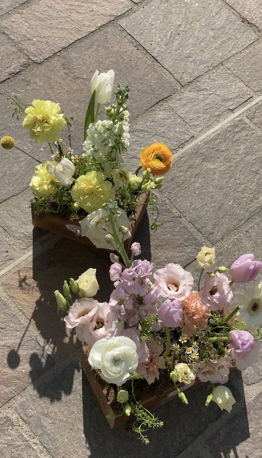 Photo de Florista