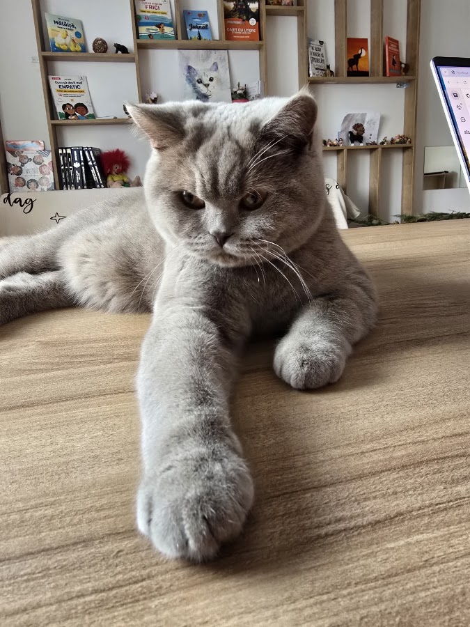 Photo de Jucării Vorbărețe
