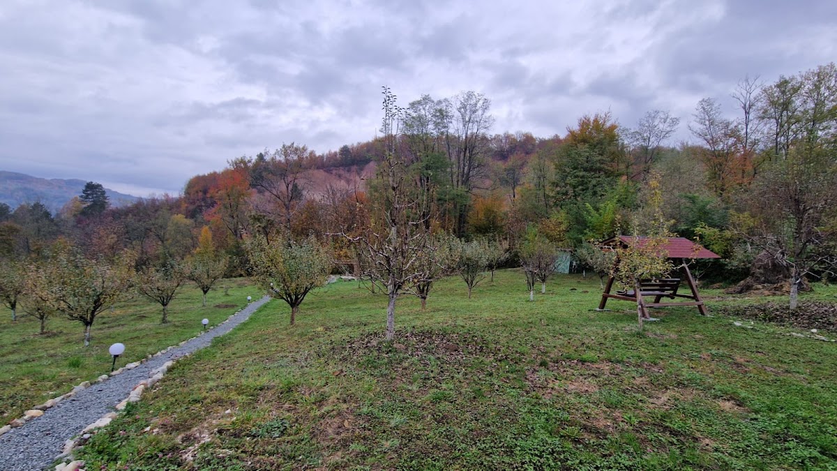 Photo de La Familia Dorcea - Casă de oaspeți & Punct Gastronomic Local