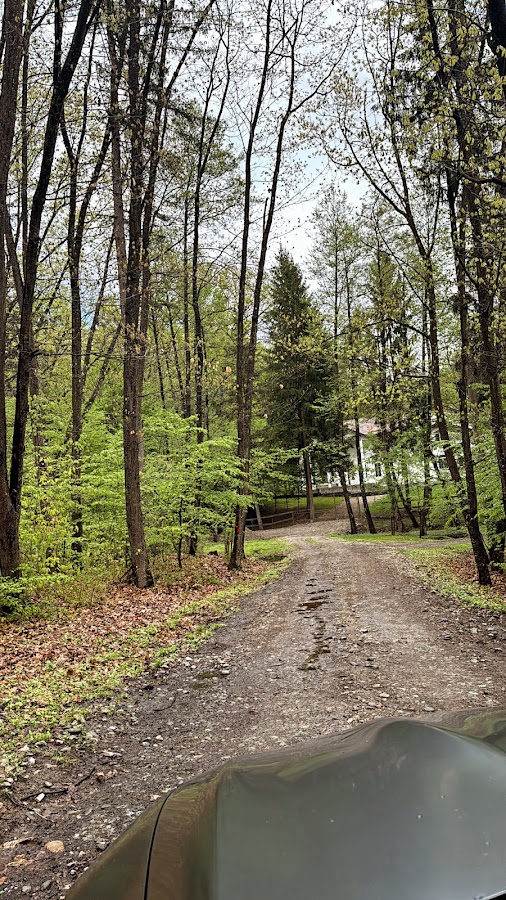 Photo of FOREST HOUSE RETREAT