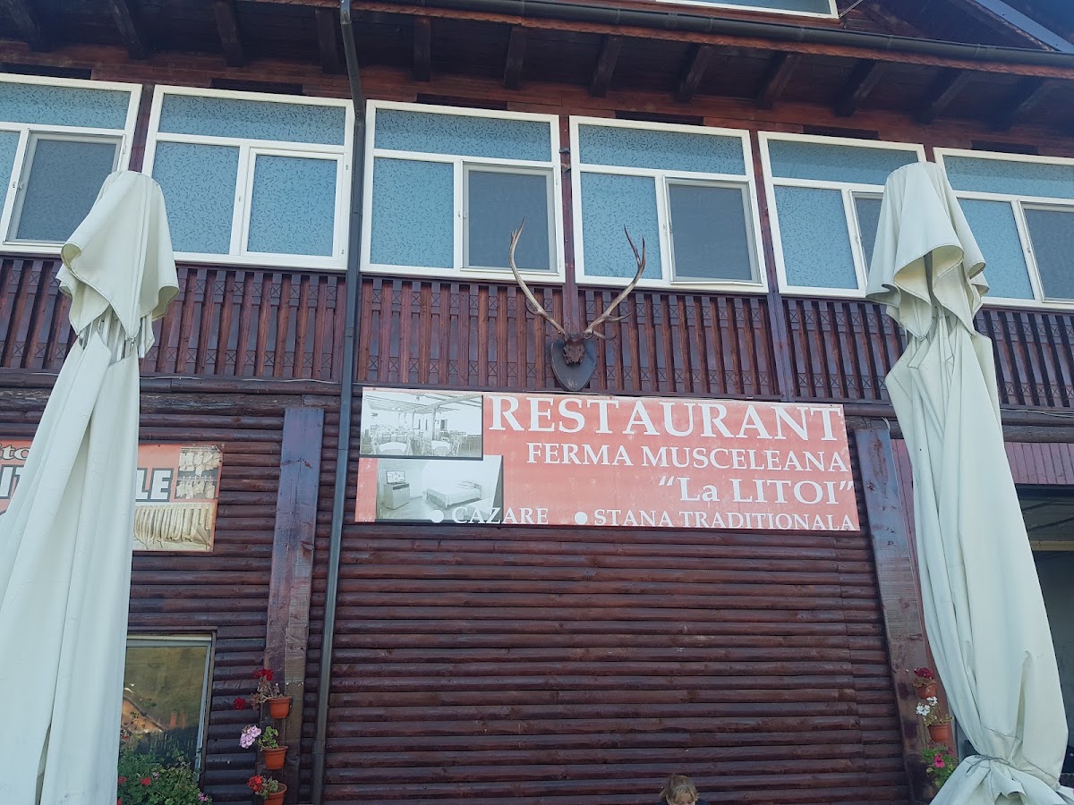 Foto von Ferma Musceleană Litoi