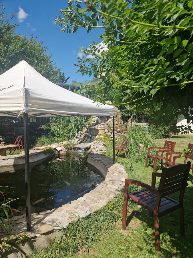 Foto di Punct gastronomic local “ Curtea cu Găini de Rasă”