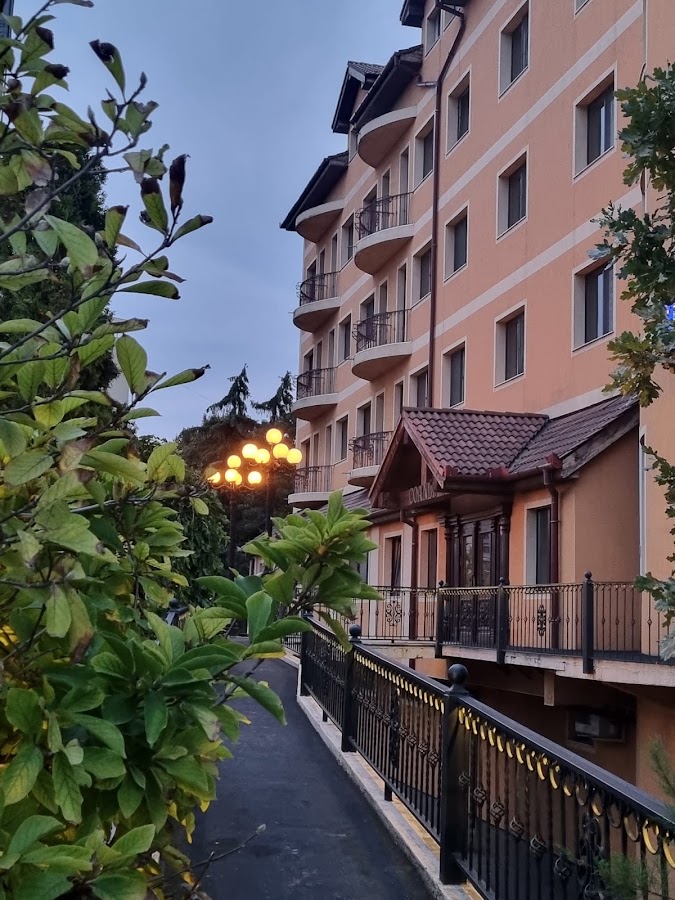 Fotografie de Hotel Coandi