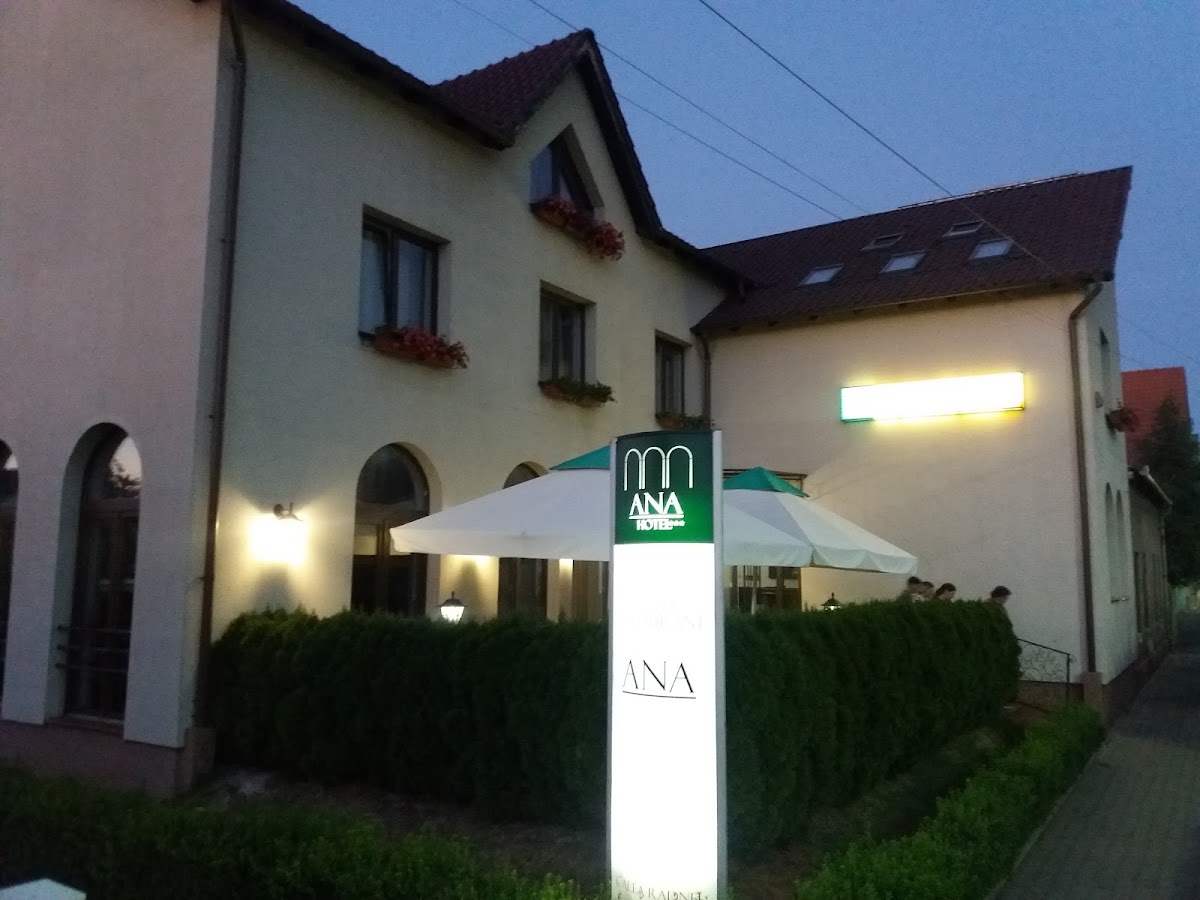 Photo de Cazare Arad | Ana Hotel