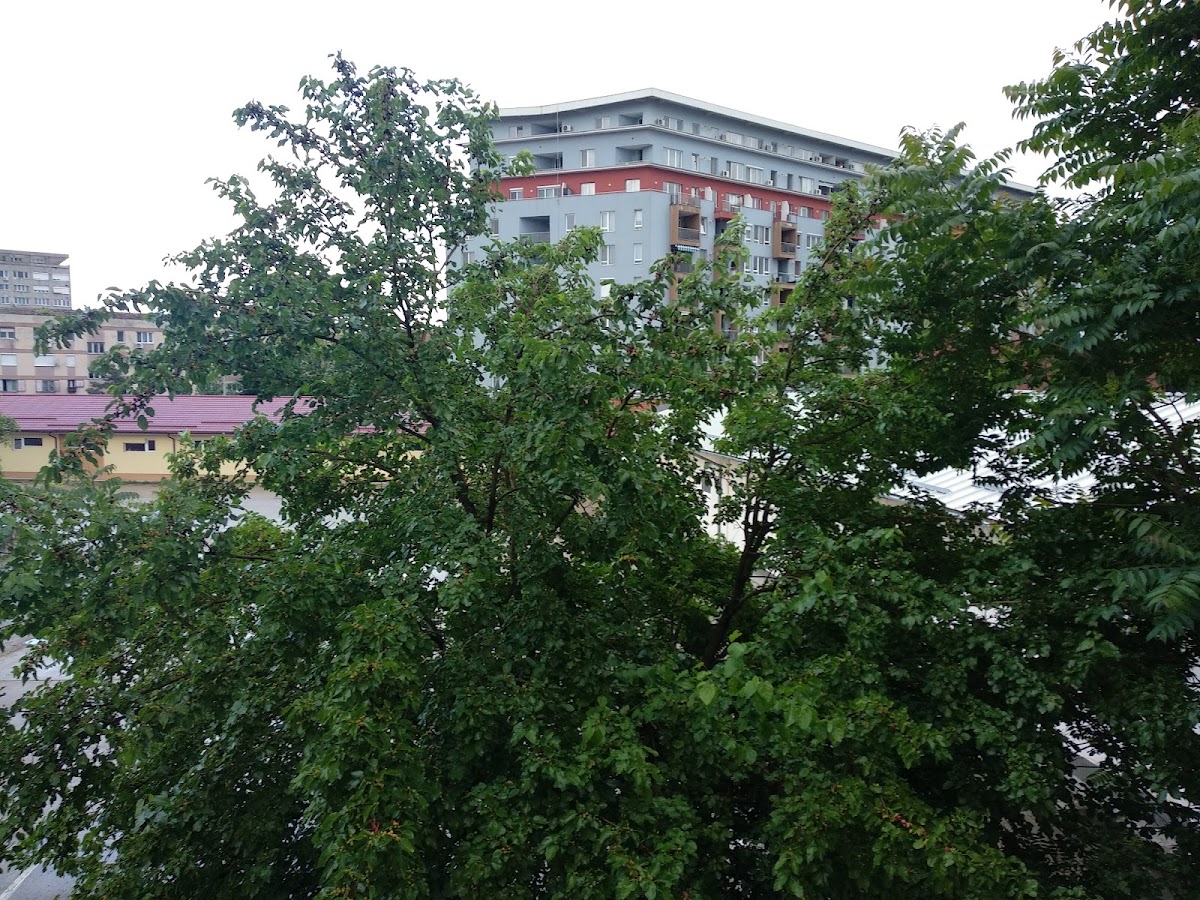 Photo of Hostel Moara cu Noroc