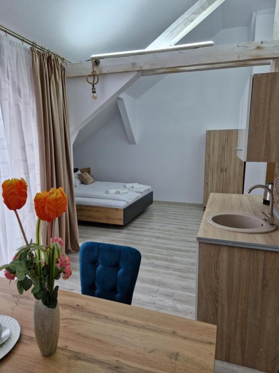 Fotografie de Orieta Apart Hotel Arad