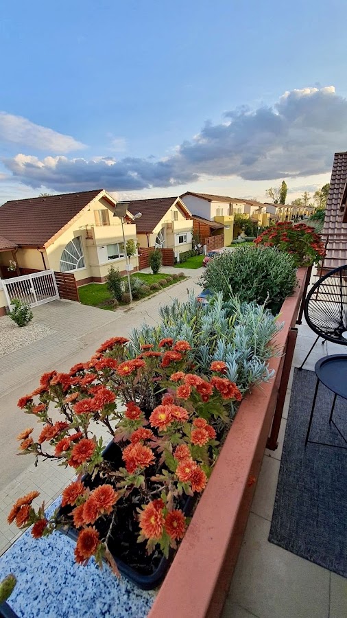 Foto von Imobiliare4You - Imobiliare Arad - Agenție imobiliară Arad