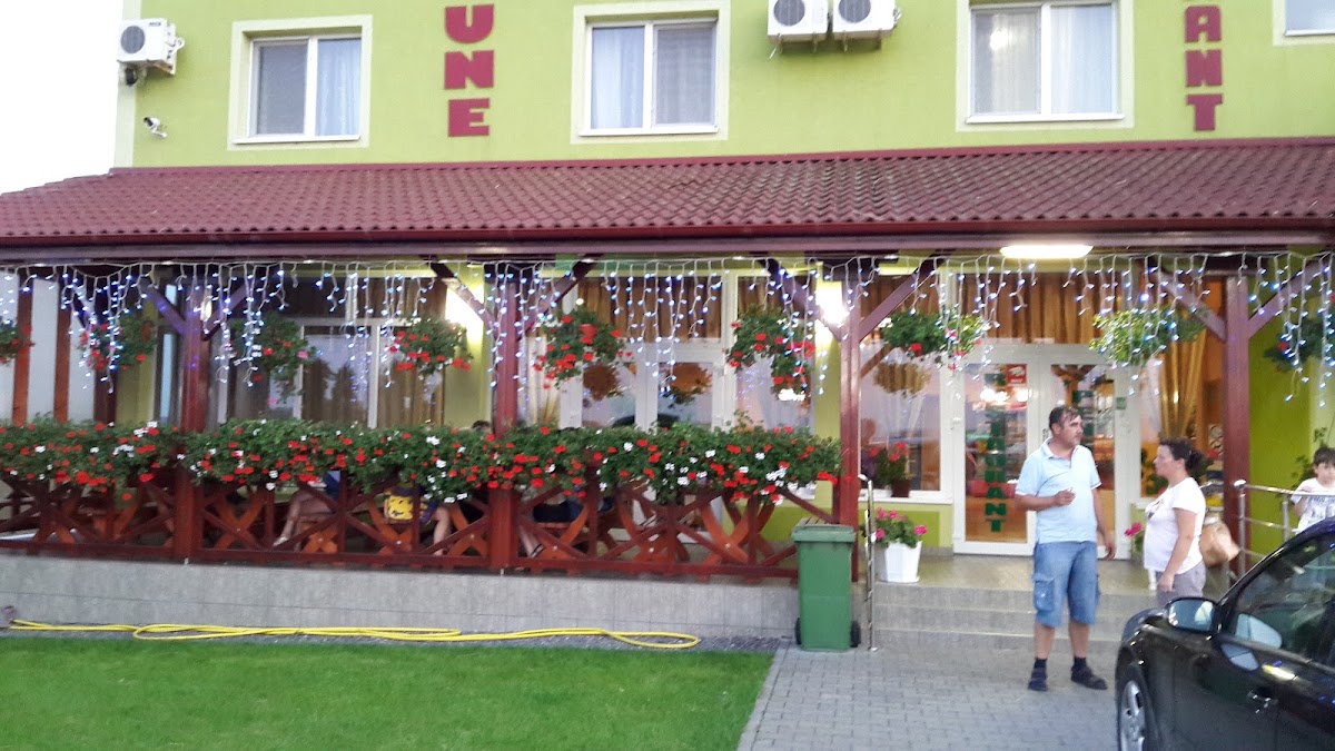 Foto di Pensiunea Casa Verde