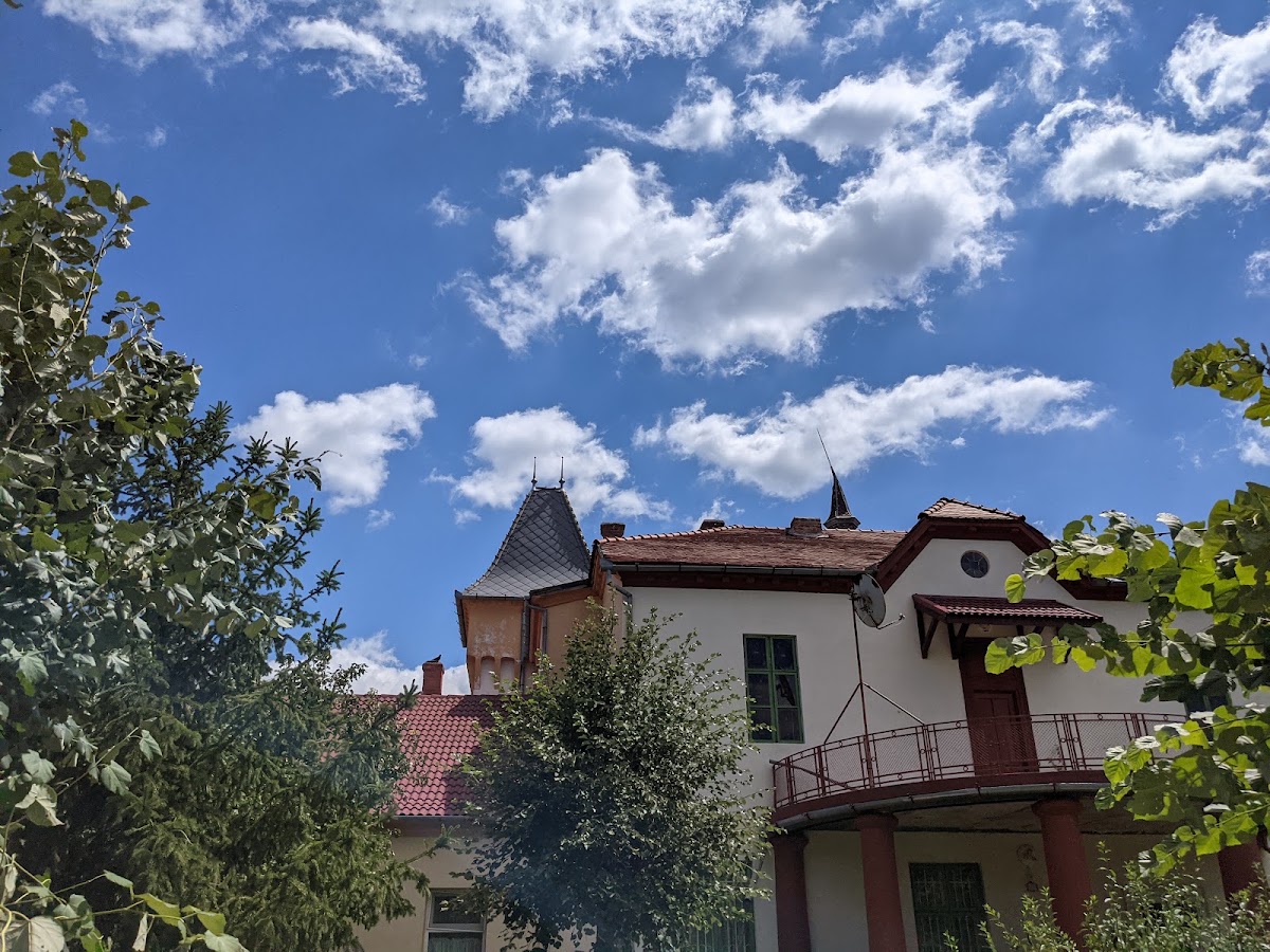 Photo de Castelul Purgly
