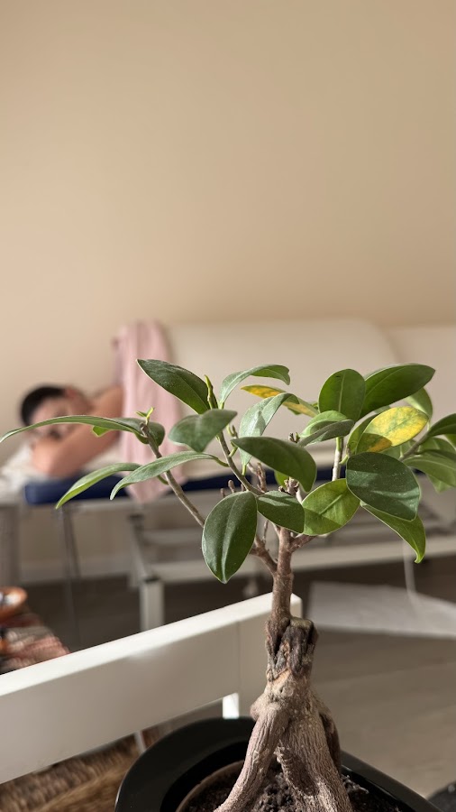 Photo of Wellness room Arad