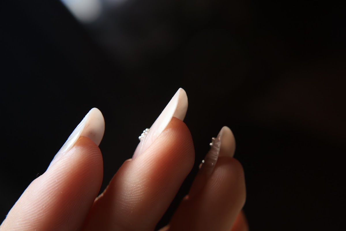 Photo of INCANTO Beauty Salon