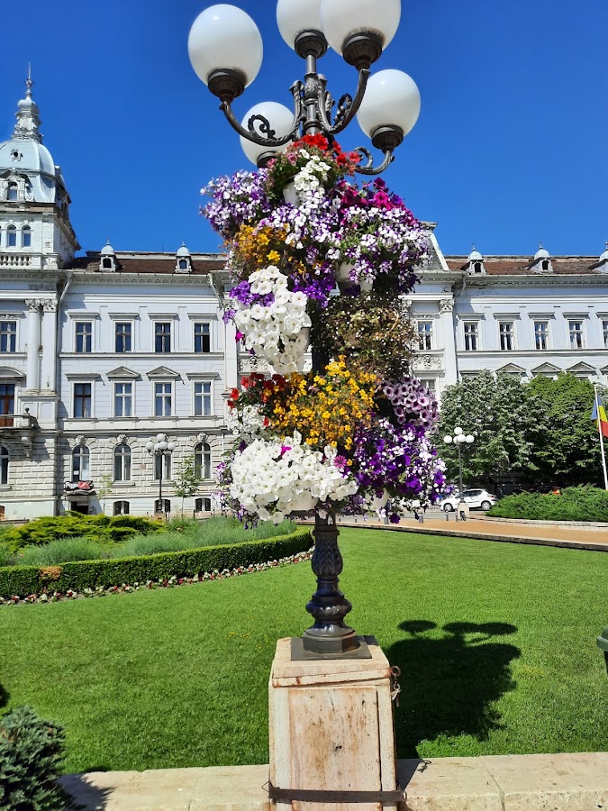 Fotografie de Palatul Cenad