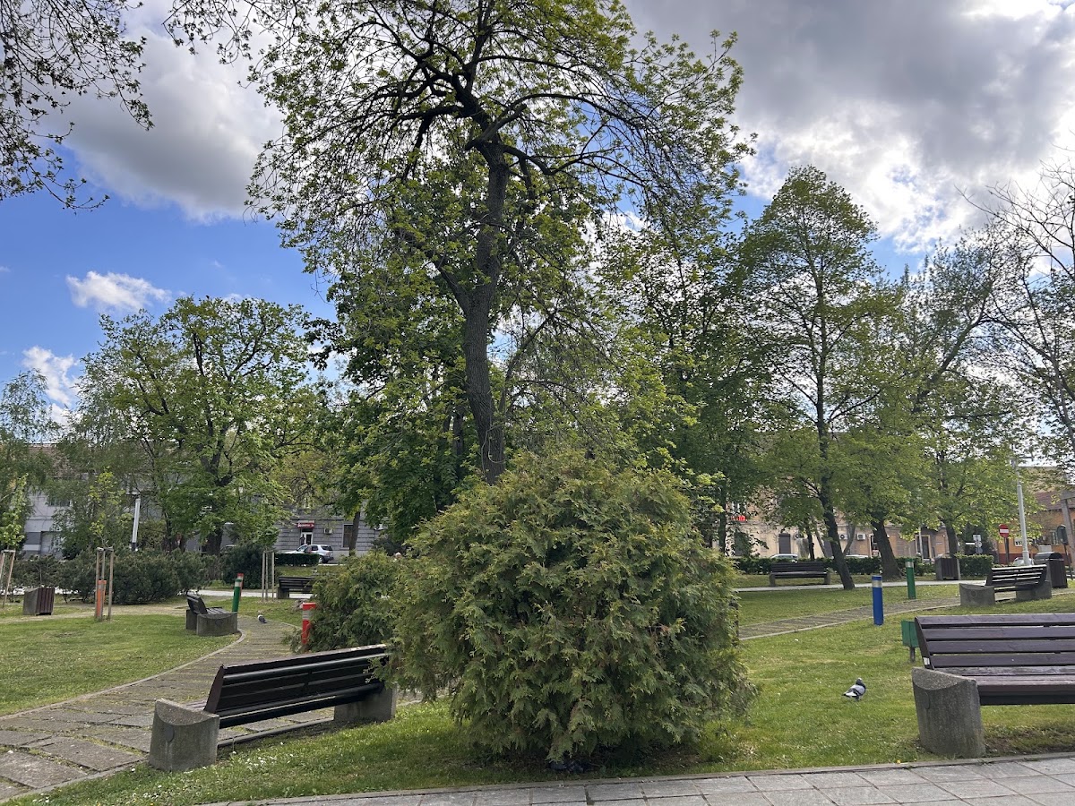 Fotografie de Parcul Pădurice