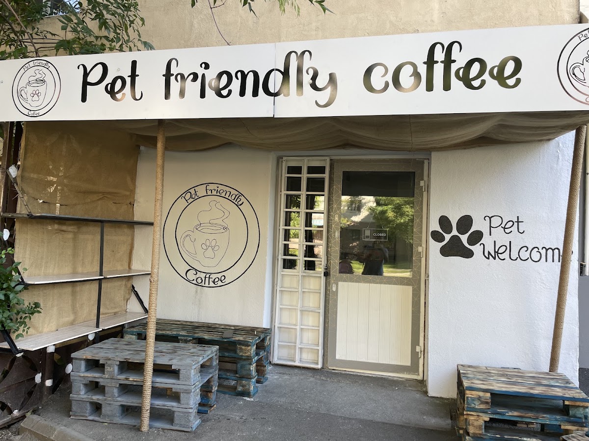 Fotografie a Cafenelei Prietenoase cu Animalele de Companie