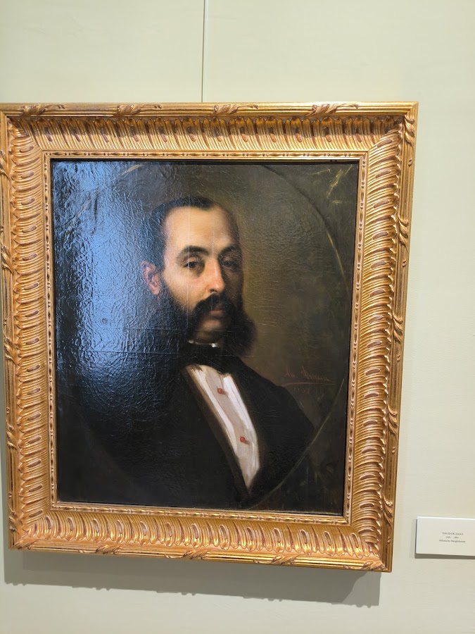 Foto di Muzeul de Artă Arad