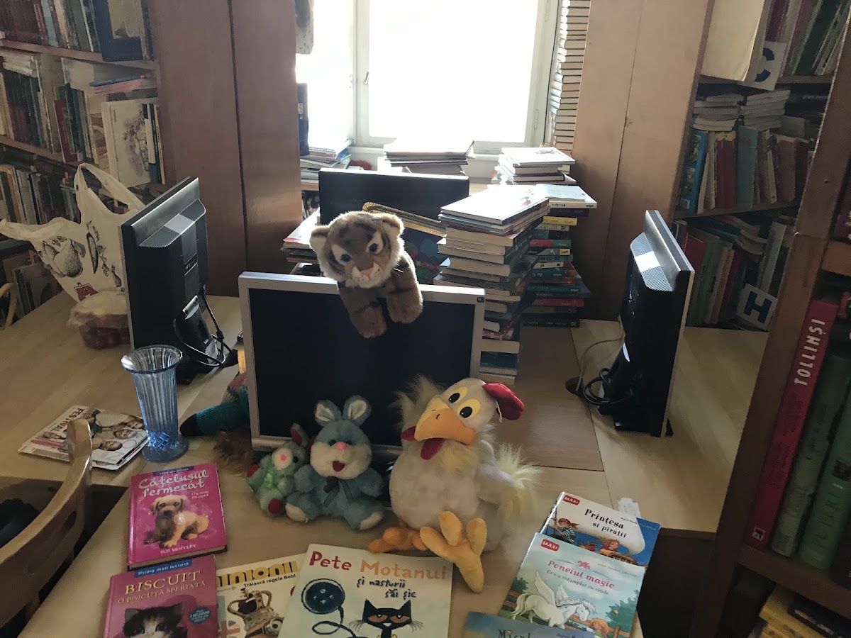 Foto di Biblioteca Județeană Arad - Filiala Aradul Nou