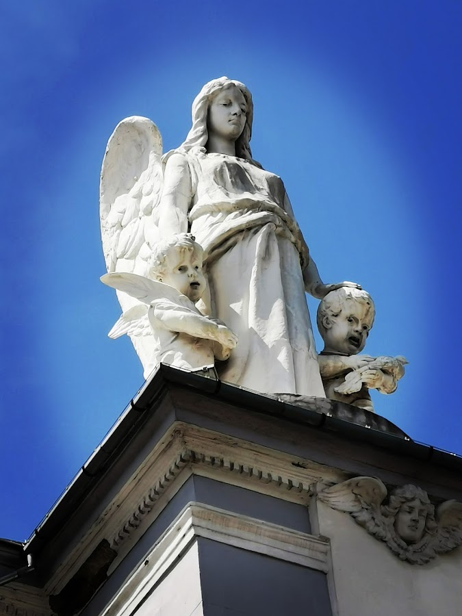 Foto di Biserica Romano-Catolică „Sfântul Anton de Padova”