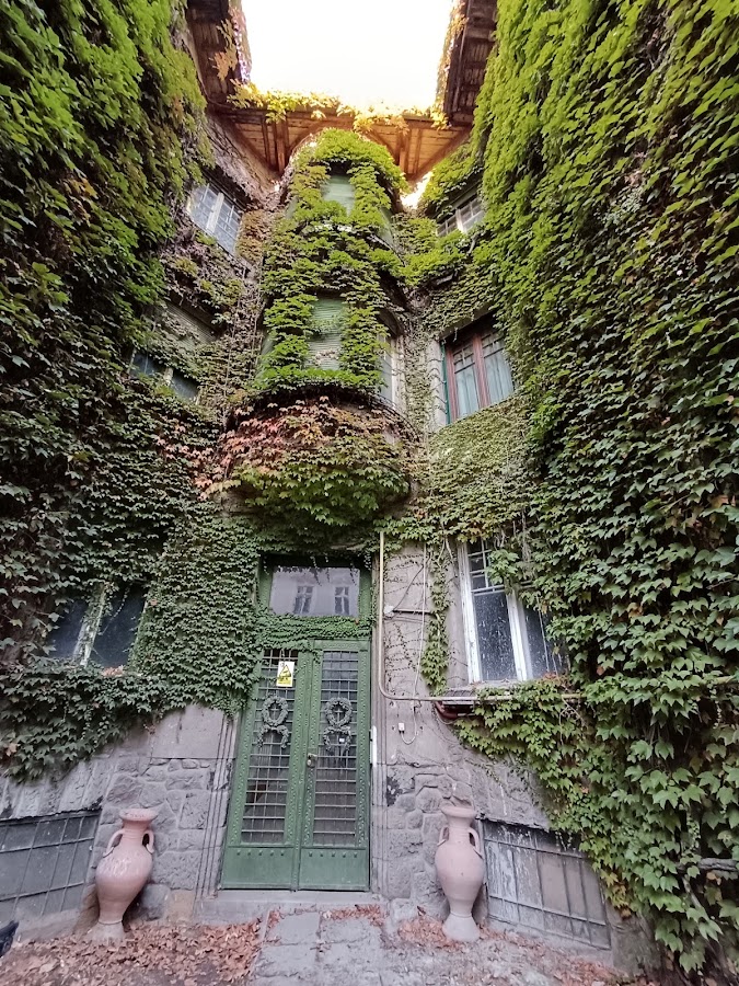 Fotografie de Casa cu Iederă