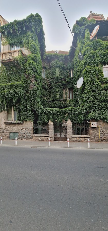 Fotografie de Casa cu Iederă