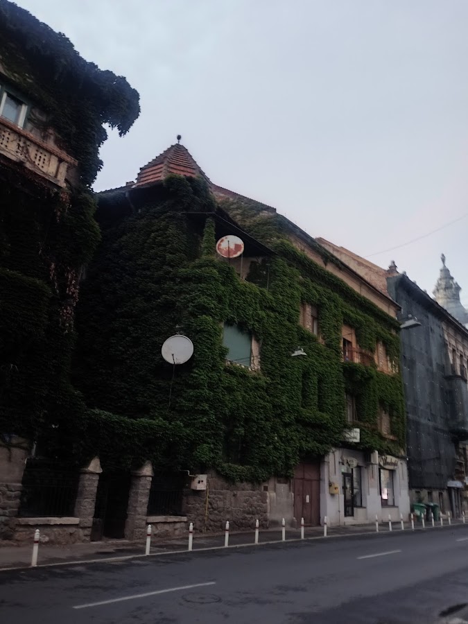 Fotografie de Casa cu Iederă