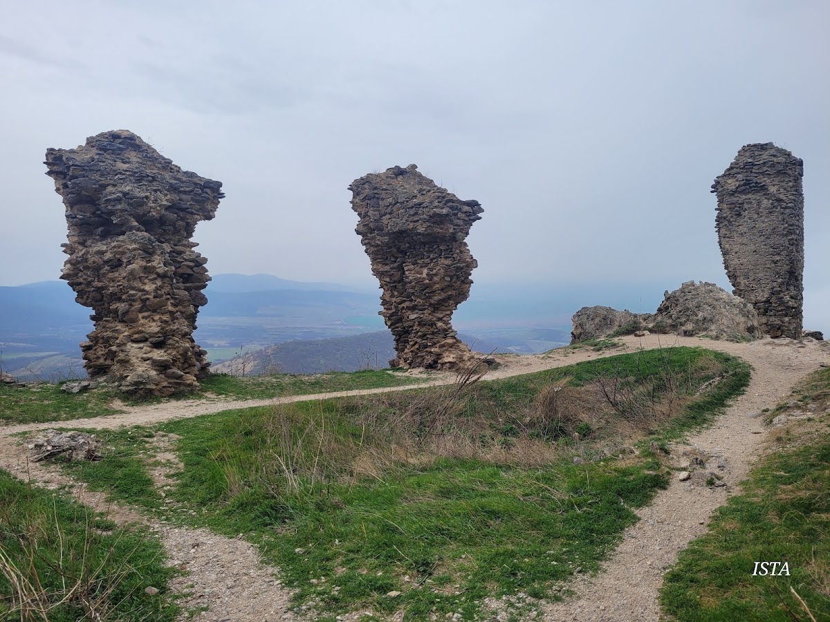 Foto von Cetatea Șiria