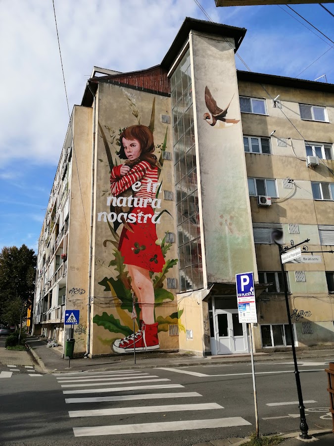 Photo of Pictura murala "E in natura noastra" by Wanda Hutira & citizenit