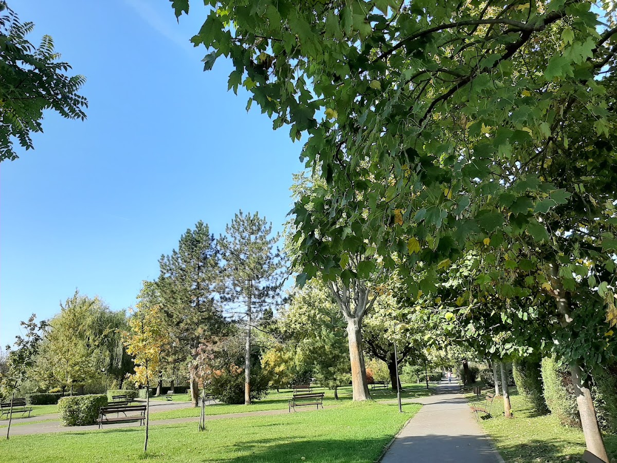 Photo of Parcul Europa