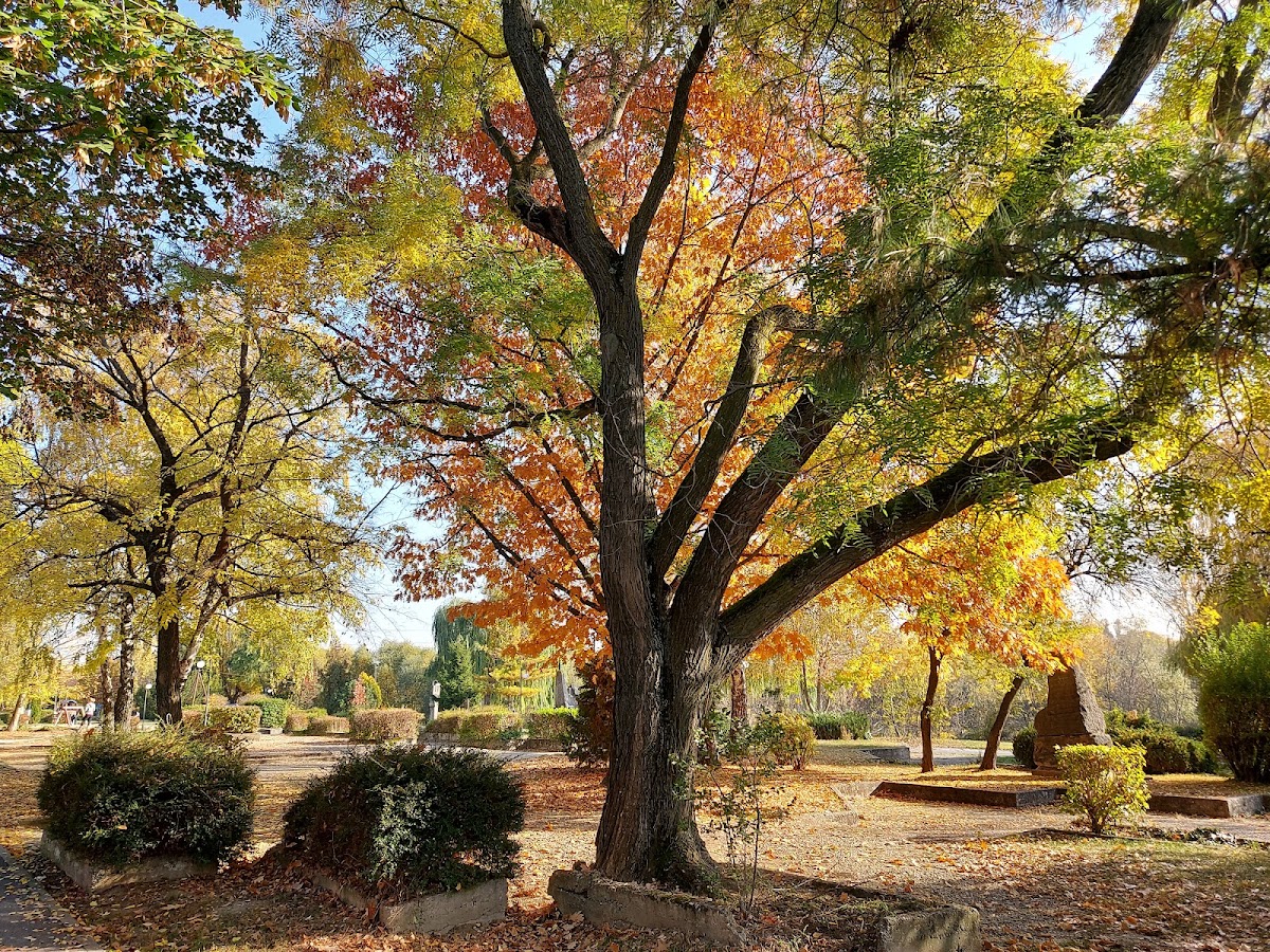 Foto di Parcul Europa