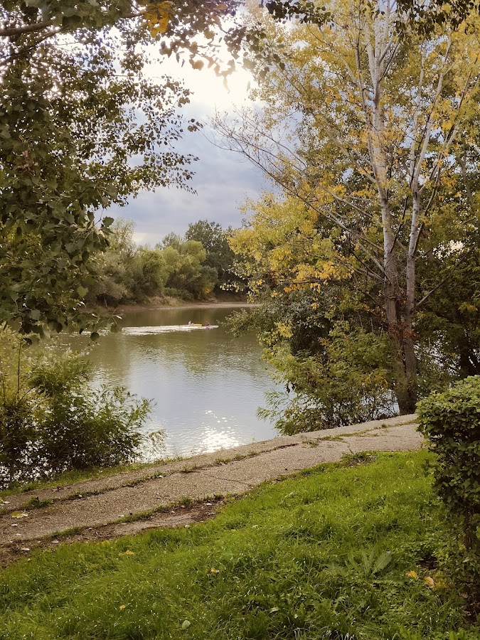 Foto di Parcul Europa
