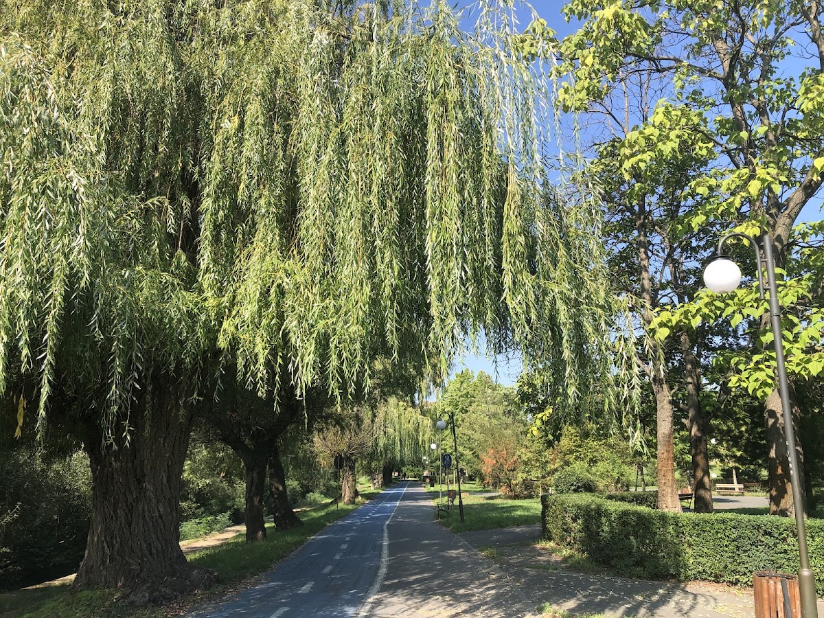 Foto di Parcul Europa