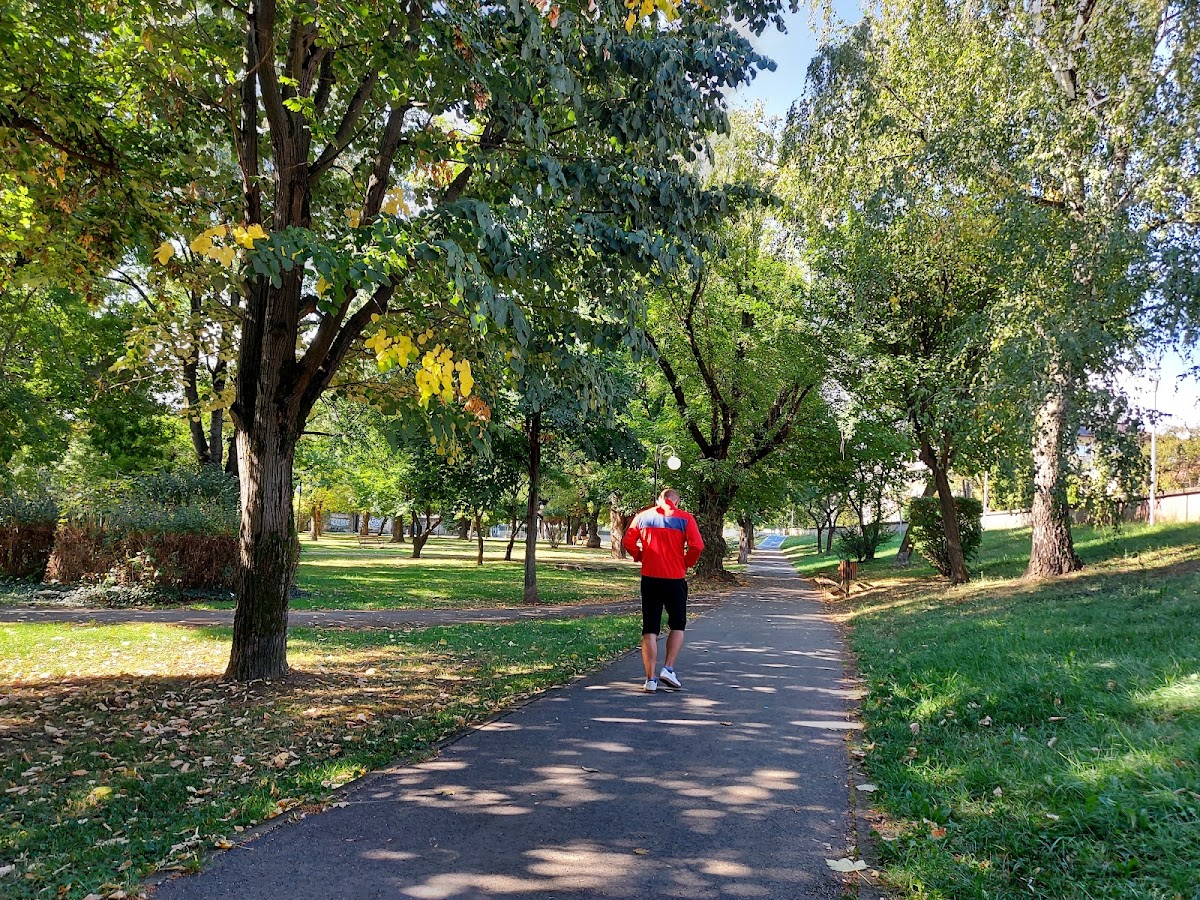 Fotografie a Parcului